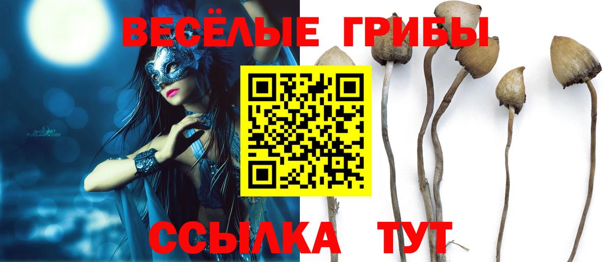 Псилоцибиновые грибы GOLDEN TEACHER  Вход с VPN  Видное 
